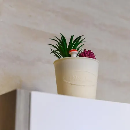 Saga Premium Garaza Parking Vauceri Ne *